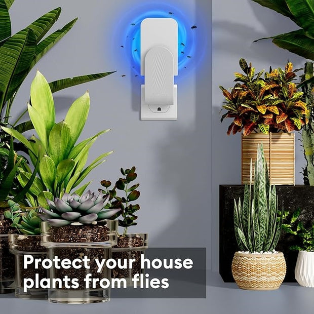 Indoor Fly Trap with Sticky Cards