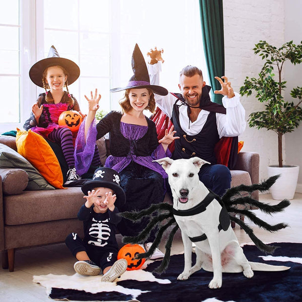 Spider Dog Costume for Halloween – Adjustable & Realistic Spider Outfit for Pets