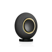 Wireless Powered Speaker System - Iconic Sound with Heritage 🎵✨