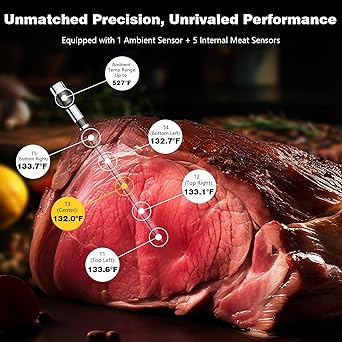 Bluetooth Meat Thermometer Digital – Wireless Smart Meat Thermometer for Grilling