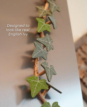 Ivy Refrigerator Magnet – Printable Articulated Vine | Creative Decoration & Practical Storage in One