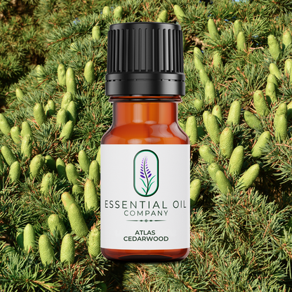 Atlas Cedarwood Essential Oil