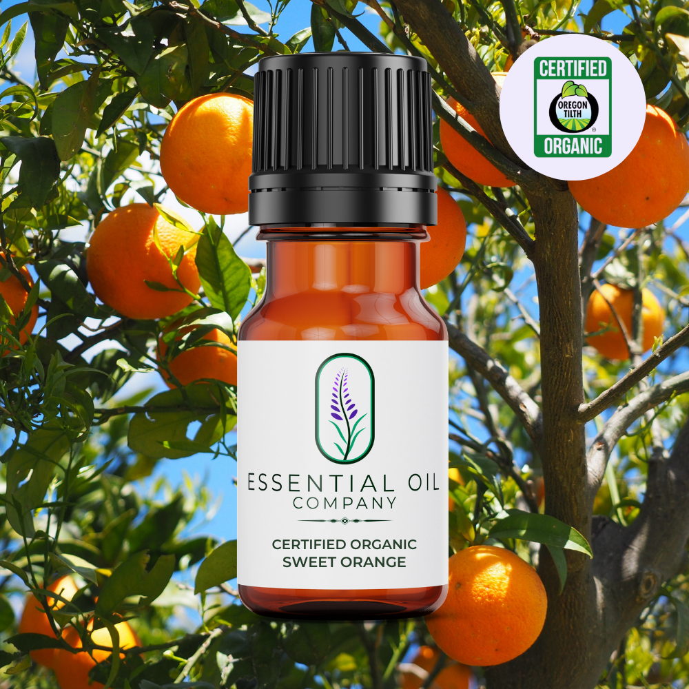 Certified Organic Sweet Orange Essential Oil