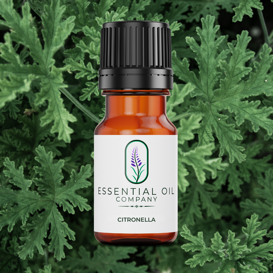 Citronella Essential Oil