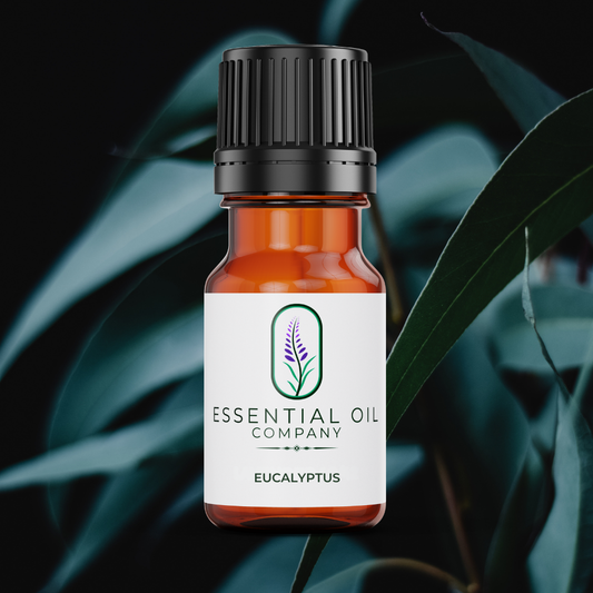 Eucalyptus Essential Oil