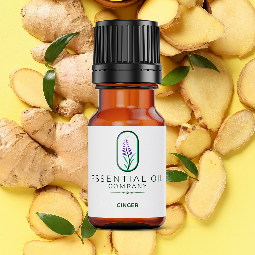 Ginger Essential Oil