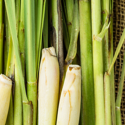 Lemongrass Essential Oil