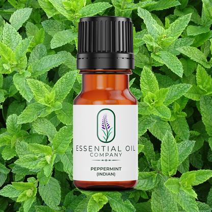 Oregon Peppermint Essential Oil