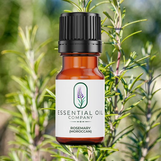 Rosemary Moroccan Essential Oil