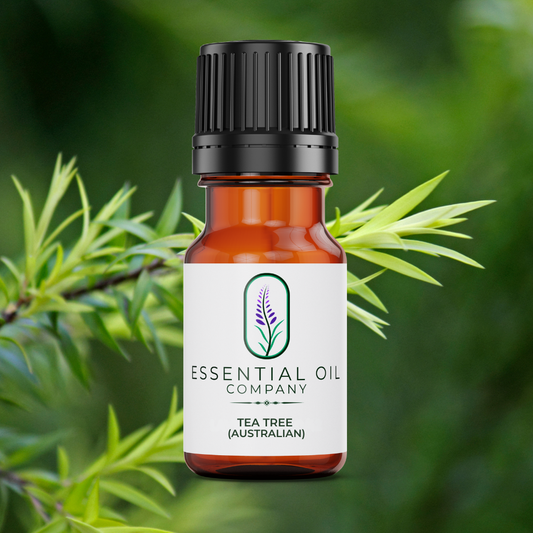 Tea Tree Australia Essential Oil