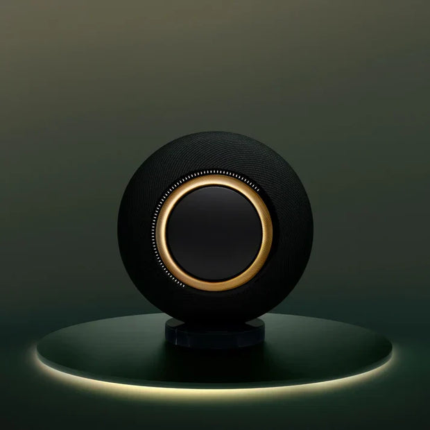 Wireless Powered Speaker System - Iconic Sound with Heritage 🎵✨
