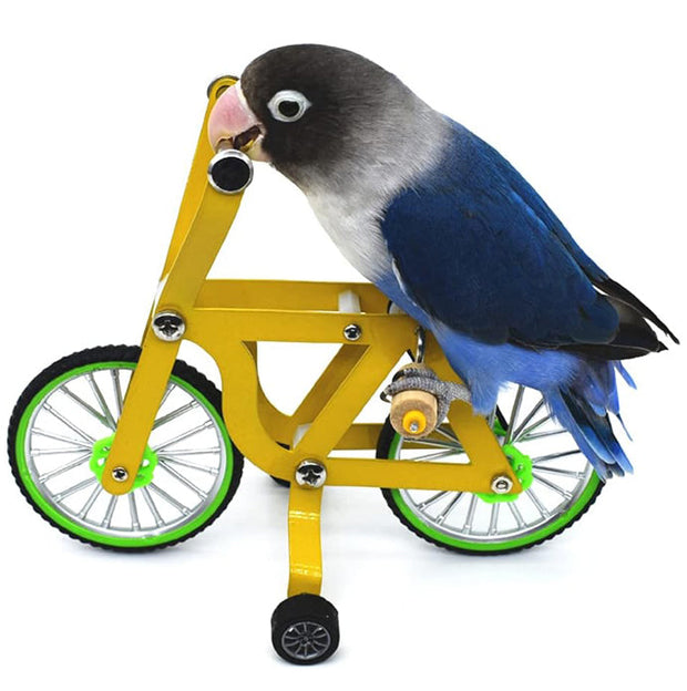 Pet Bird Training Parrot Intelligence Bicycle Toy